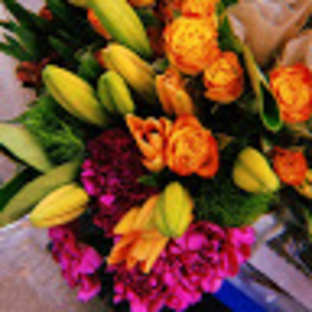 Meet your Posher, Lauren